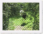 Dierentuin Burgers  Zoo 020 * 3648 x 2736 * (7.58MB)